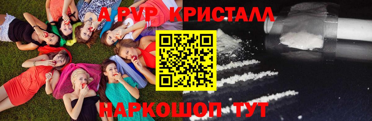 A PVP СК КРИС Омск