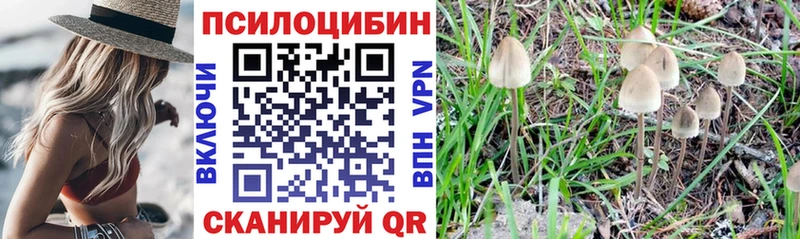 Псилоцибиновые грибы ЛСД  Омск 