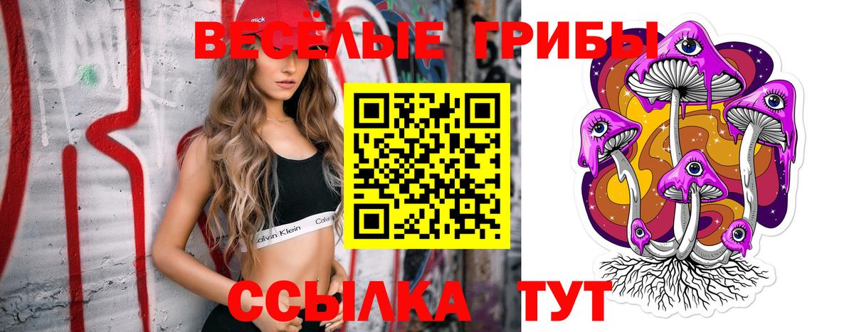 Омск  Галлюциногенные грибы Psilocybe  Вход с VPN 
