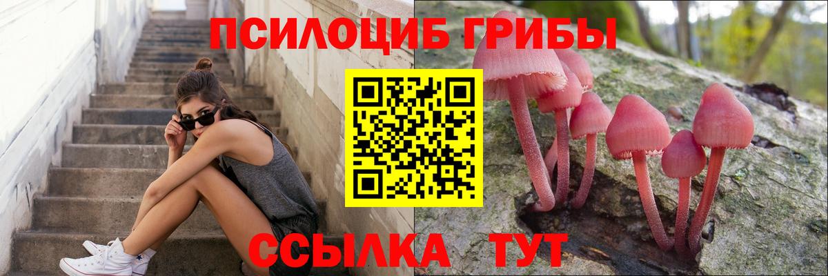 Галлюциногенные грибы Cubensis  Галлюциногенные грибы ЛСД  Омск 